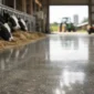 what causes concrete to polish smooth on farms featured 85x85